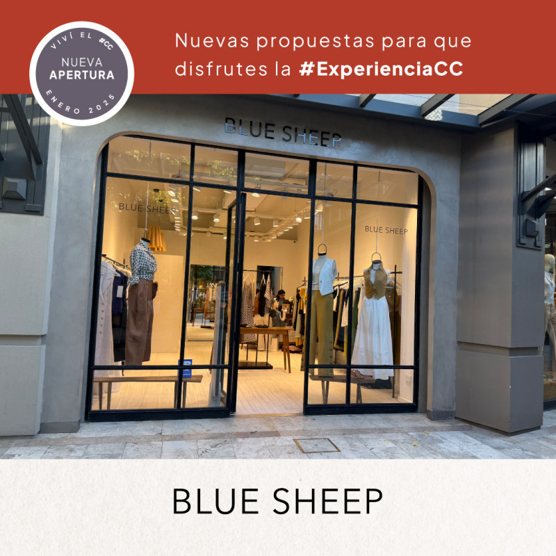 Apertura Blue Sheep